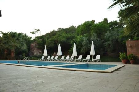 Palm Court Suites - 14