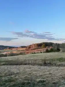 Рузя Карелия - 11