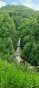 Ореховая роща - 10