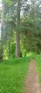 Зеленый Городок - 43