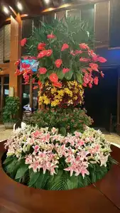 Ocean Sonic Resort Sanya - 22