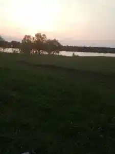 Белый лис - 26