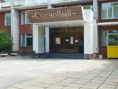 Сосновый - 25