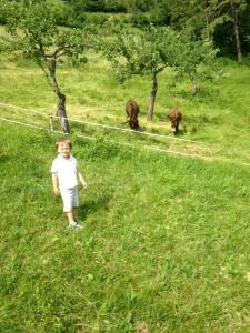 Relais Fior di Bosco - 12