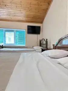 Золотые Пески - 67