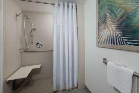 Embassy Suites by Hilton- Lake Buena Vista Resort - 47