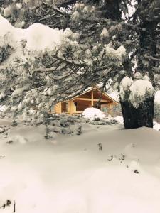 Uludag Orman Koskleri - 26