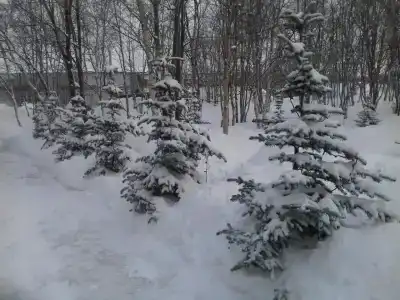 Североморск - 19