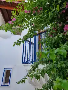 Eden - 5