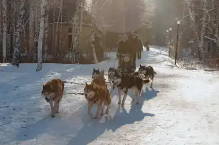 Китой - 0