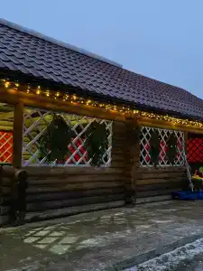 Золотой фазан - 29