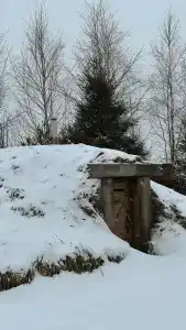 Медвежье урочище - 74