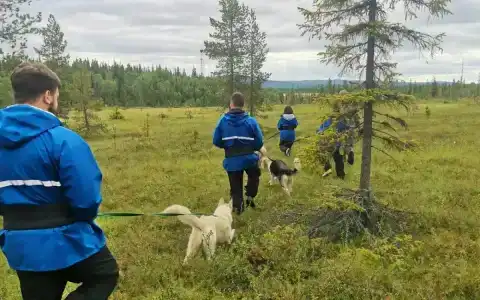 Хаски Кэмп - 14