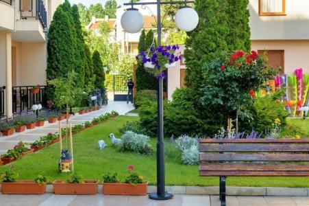 Tsb Sunny Victory - 58