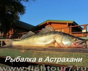 Фишка - 1
