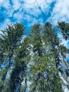 Мы-сЪ Онего - 74