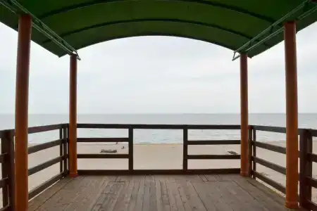 Атлант Экзотик - 63