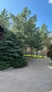 4 Сезона - 38