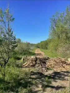Рыба-пила - 41