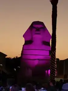 Beach Albatros - - 20