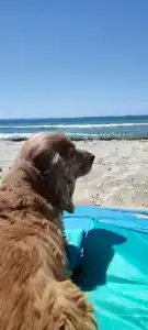 Casa del Mar - 34