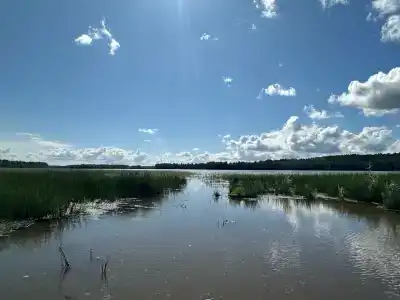 Бобровый берег - 39