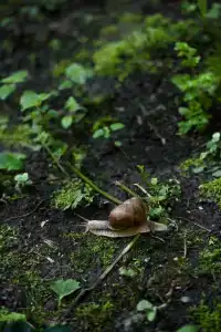 Wish Home Лесной Берег в Мясоедово - 16