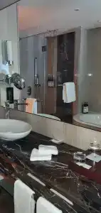 Hyatt Regency Istanbul Atakoy - 57