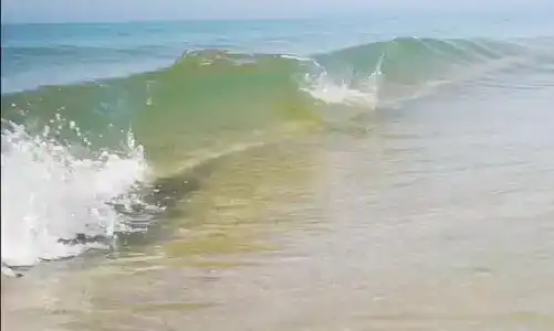 Коттедж, море, дельфины - 4