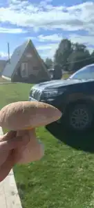 Белый кит - 11