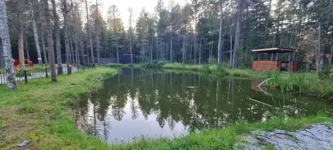 Парус - 10