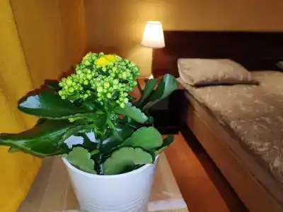 Спа-Пансионат - 23