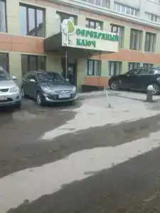 Серебряный ключ - 9