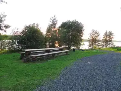 Зайкина дача - 75