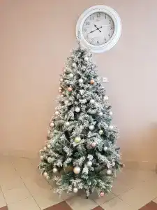 Мещерский Край - 38