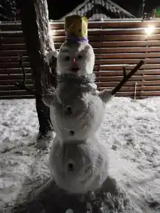 Сарин - 7