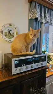 Гостевой дом Суриковых - 39