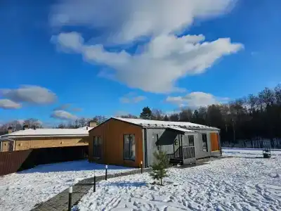 Добро и Лес - 40