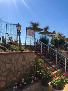 Complex Relax All Inclusive - 10