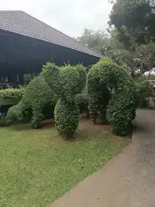 Botany Beach Resort - 17