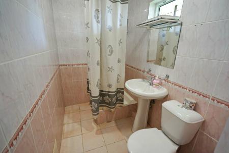 Пальмира - 70