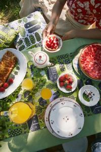 Дача Дымовской керамики - Зеленый дом - 40