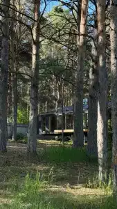 Wood Wood Wood - 60