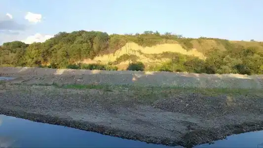 Золотая рыбка - 26