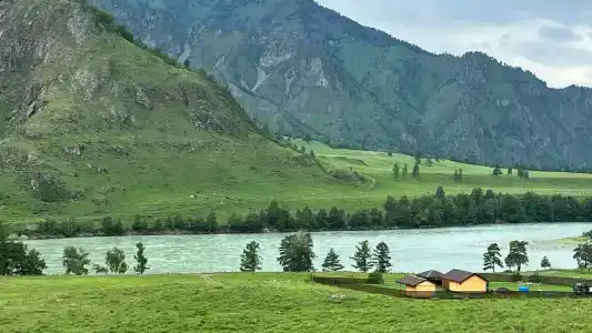 Терраса Алтая - 0
