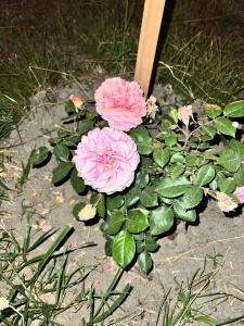 Эко-домики у моря - 32