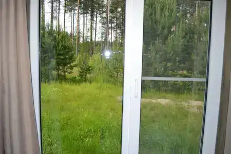 Карельская рябина - 17
