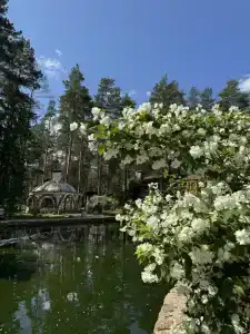 Усадьба Мещерская - 82