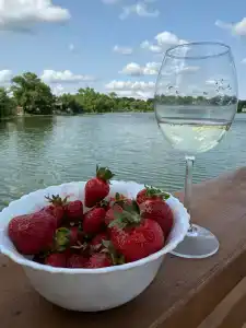 Флотель - 17