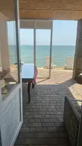 Жемчужный - 98